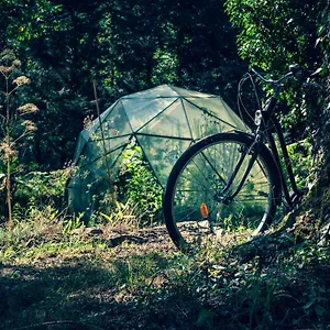 La Cabane Dans Les Bois ! Marzan